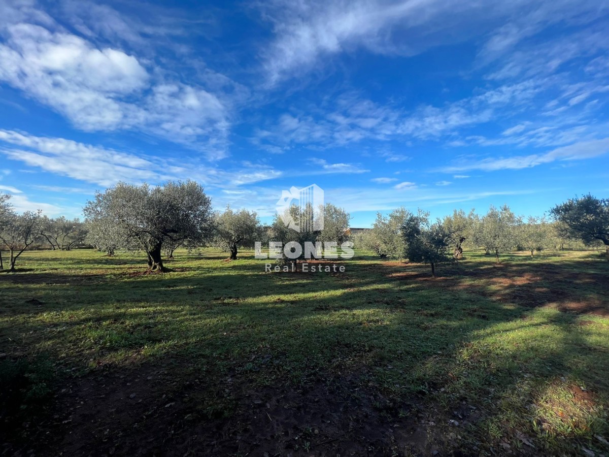 Terreno edificabile vicino a Buie