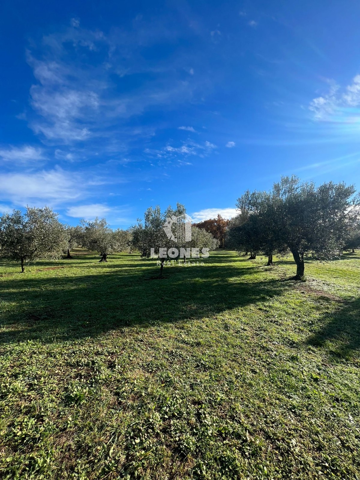 Terreno edificabile vicino a Buie