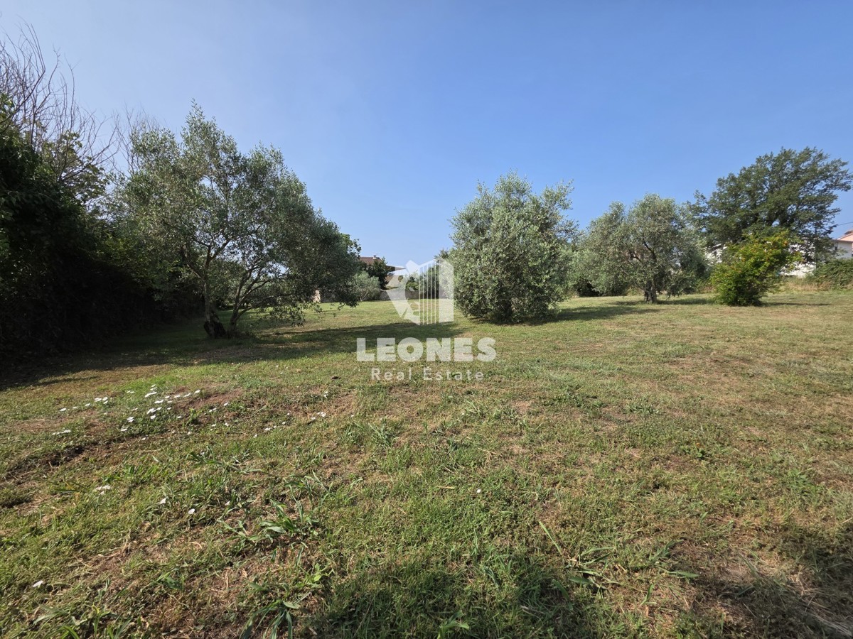 Terreno edificabile con progetto per la costruzione di sei unità abitative vicino a Umag - Umago