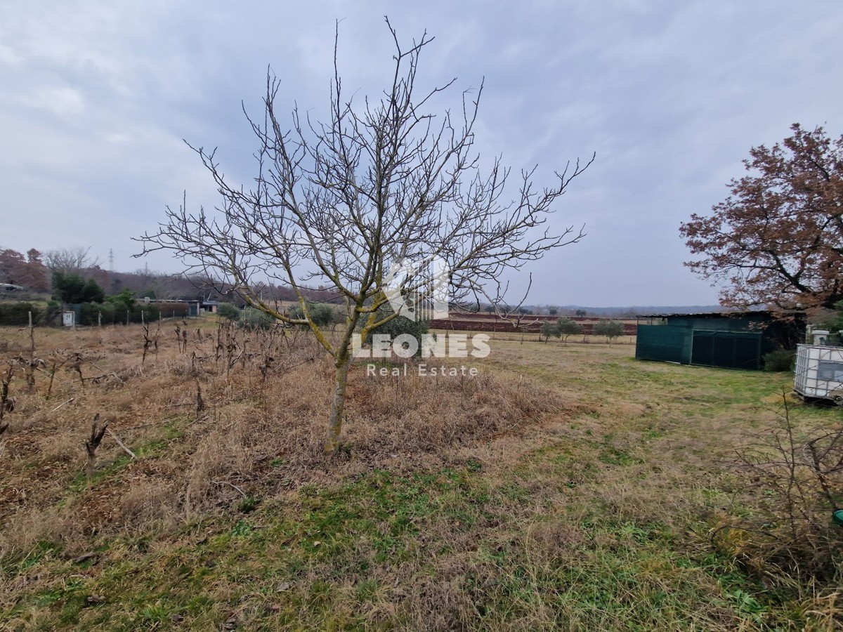 Terreno edificabile ai dintorni di Umag - Umago