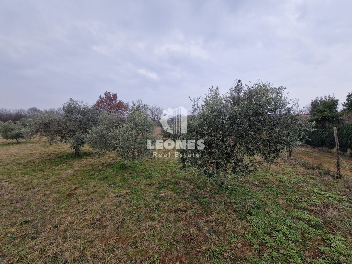 Terreno edificabile ai dintorni di Umag - Umago