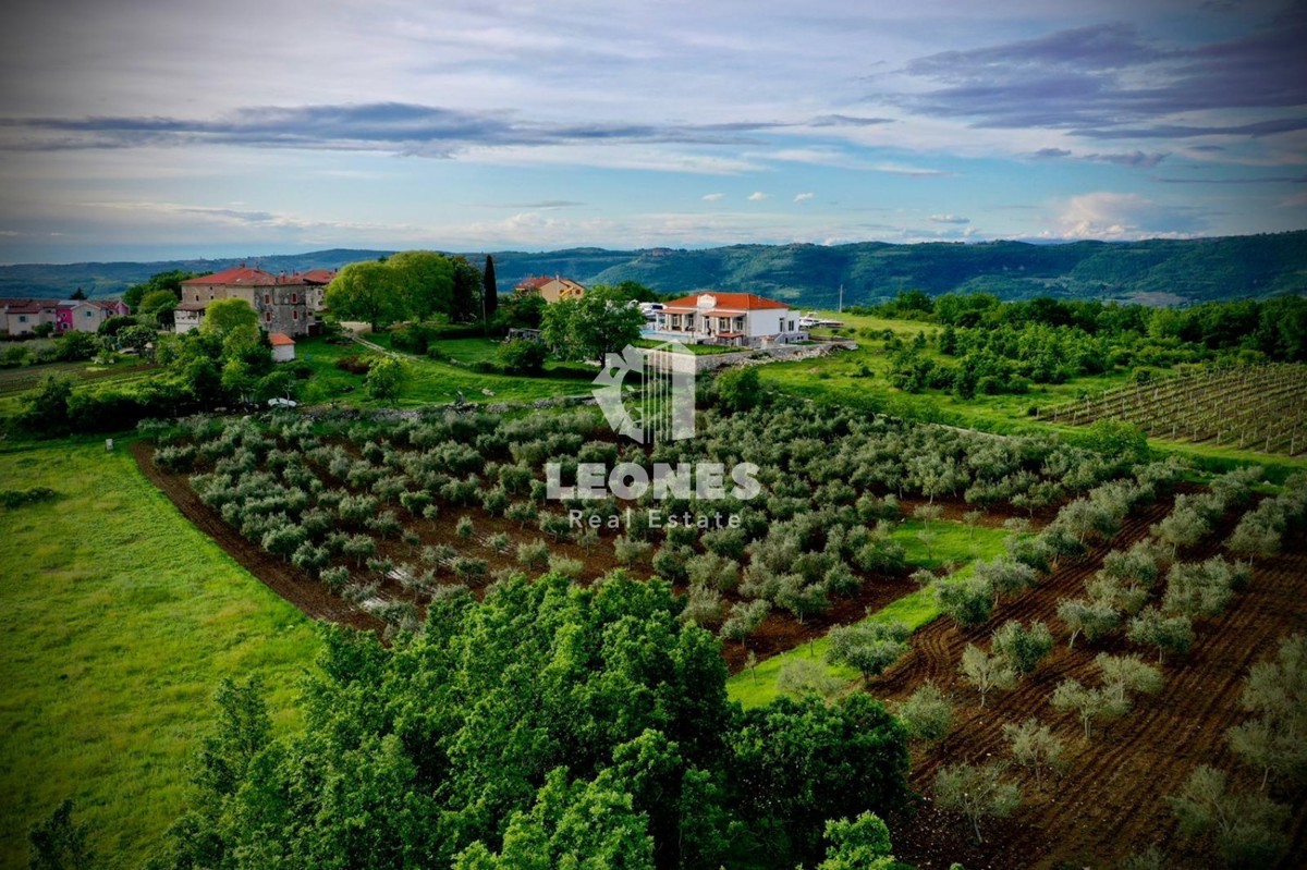 Un'imponente villa immersa nel verde nei ditorni a Vižinada