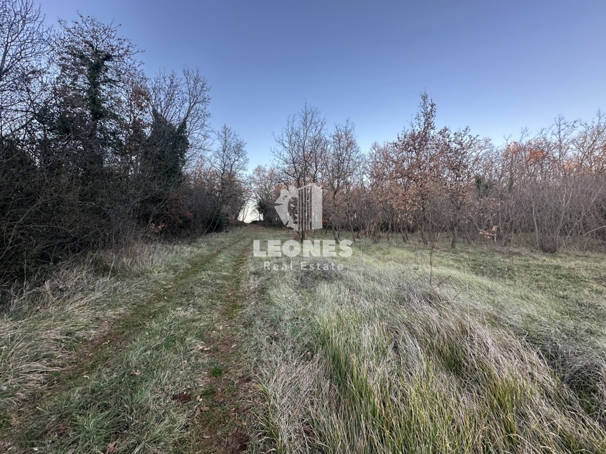 Terreno agricolo a Cittanova