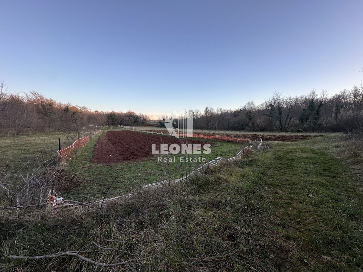 Terreno agricolo a Cittanova