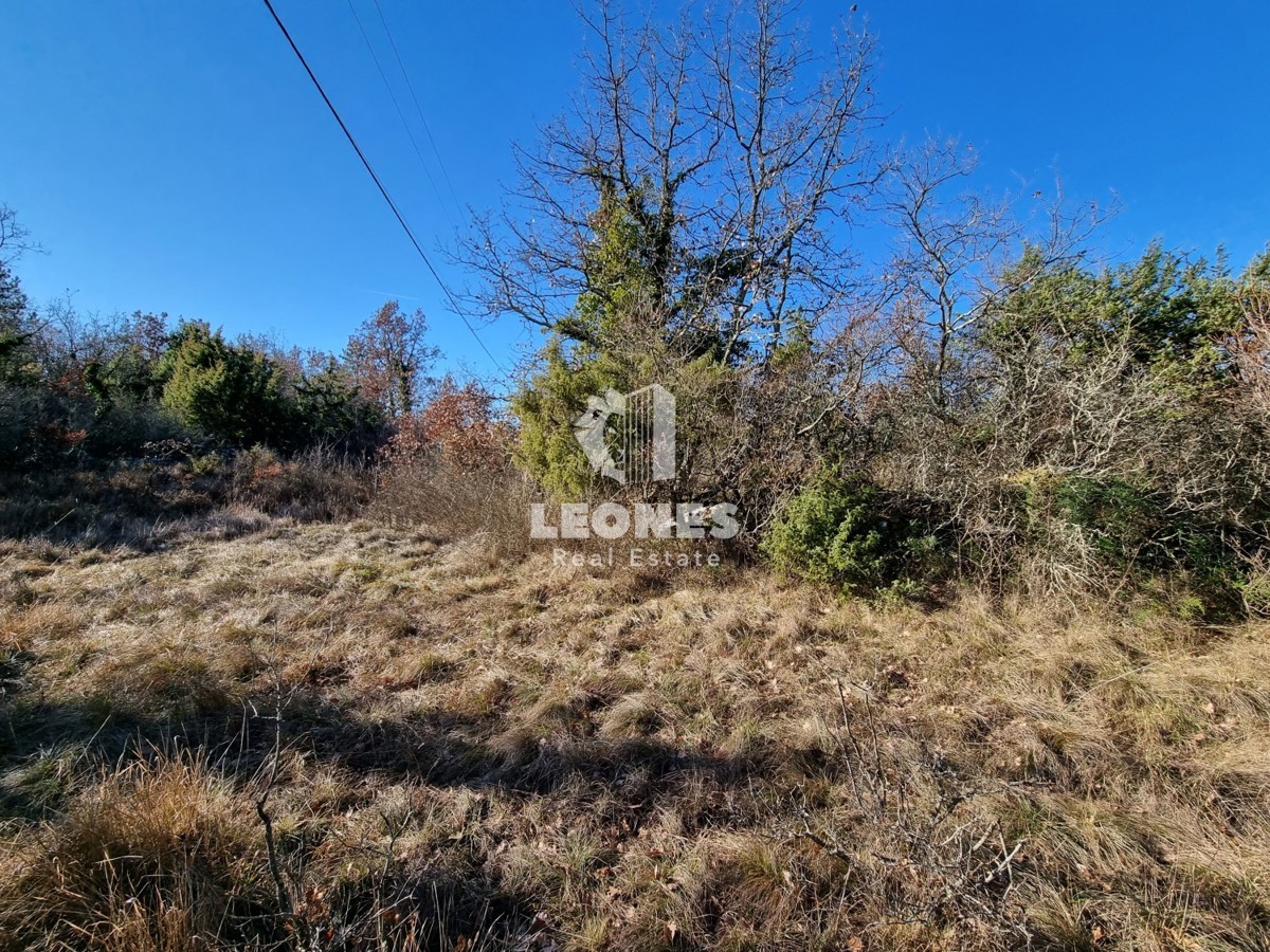 Terreno edificabile in una posizione tranquilla vicino a Grožnjan - Grisignana