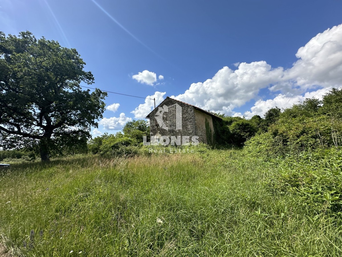 Bella casa in pietra da ristrutturare in zona appartata con ampio cortile e vista sul verde