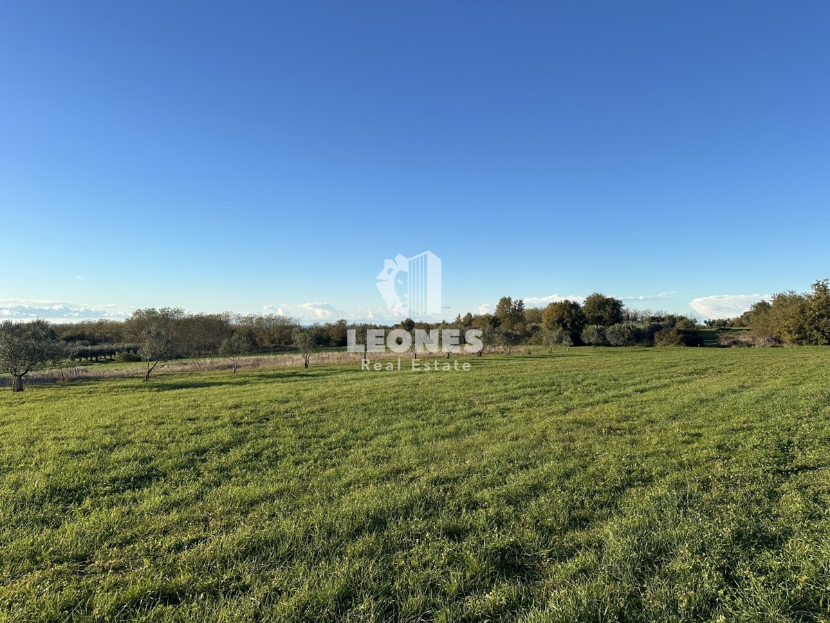 Regelmäßiges landwirtschaftliches Grundstück mit Blick auf das Meer in Kaštelir