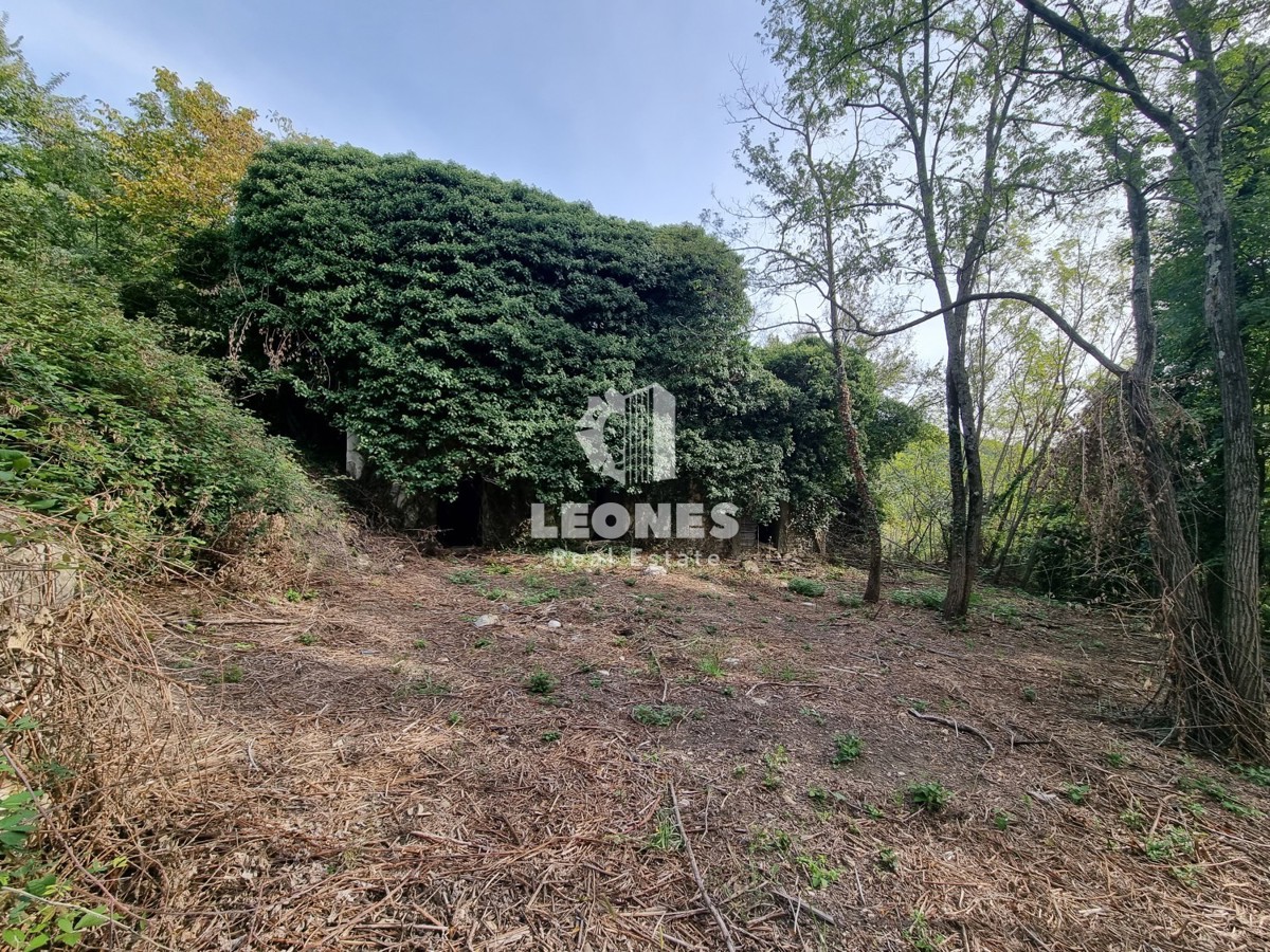 Casa in pietra in rovina circondata dalla foresta vicino a Buje, Krasica