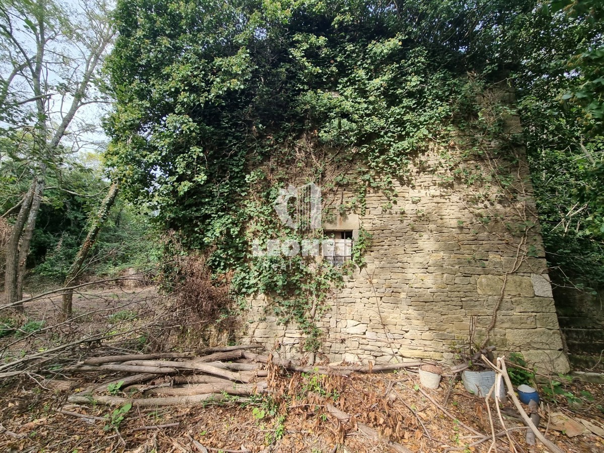 Casa in pietra in rovina circondata dalla foresta vicino a Buje, Krasica
