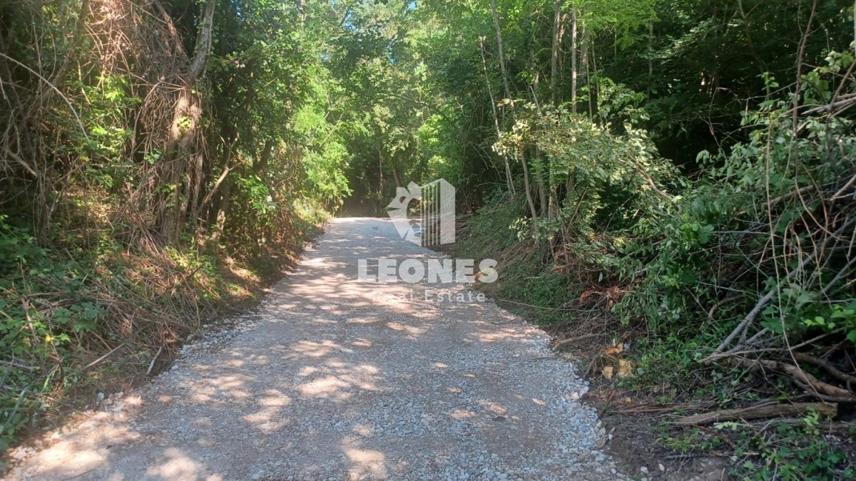 Casa in pietra in rovina circondata dalla foresta vicino a Buje, Krasica