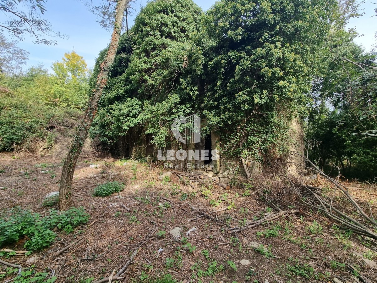 Casa in pietra in rovina circondata dalla foresta vicino a Buje, Krasica