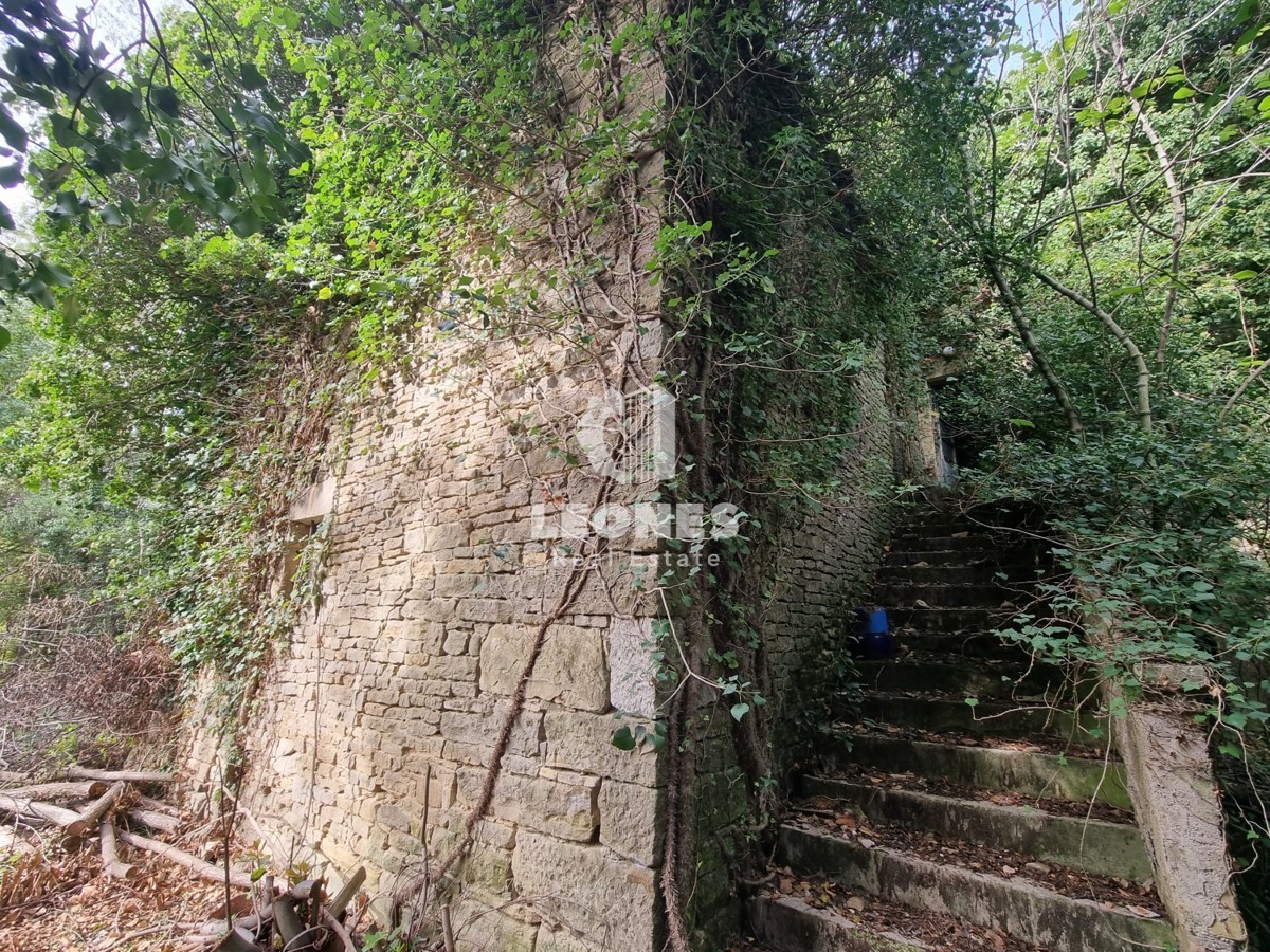 Casa in pietra in rovina circondata dalla foresta vicino a Buje, Krasica