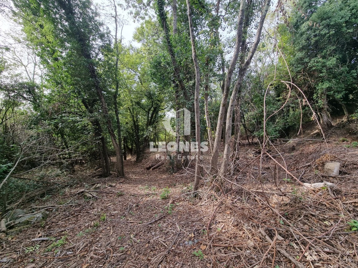 Casa in pietra in rovina circondata dalla foresta vicino a Buje, Krasica