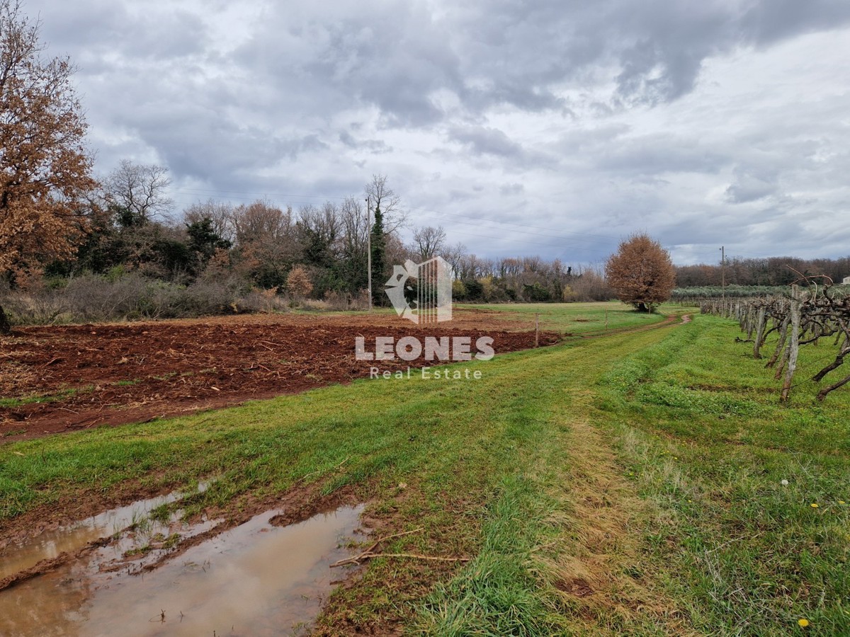Terreno edificabile ai margini della zona edificabile nelle vicinanze di Brtonigla - Verteneglio