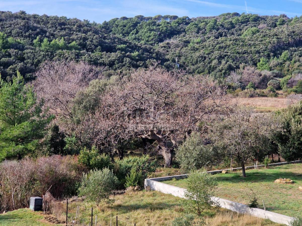 Appartamento per vacanze Palit, Rab, 75m2