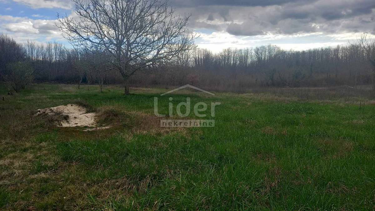 Terreno Laginji, Žminj, 1.750m2