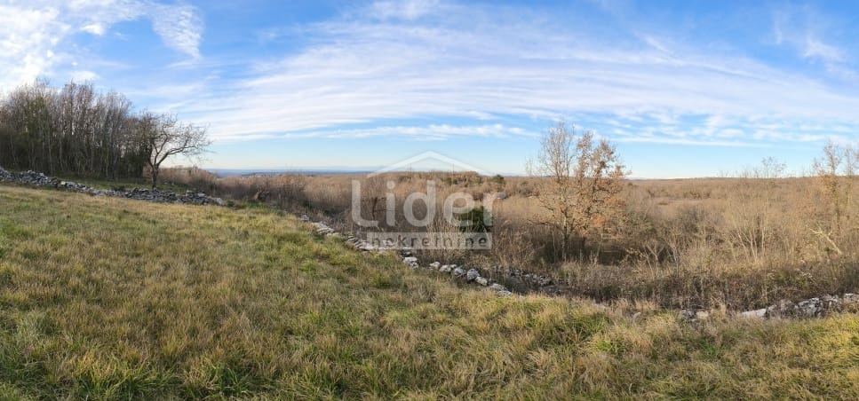 Terreno Buje, 1.765m2