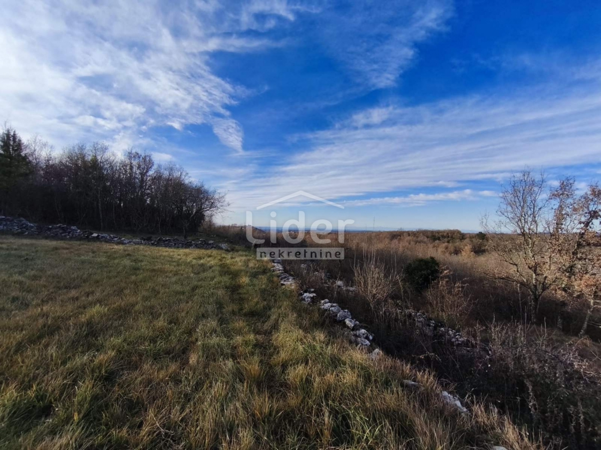 Terreno Buje, 1.765m2