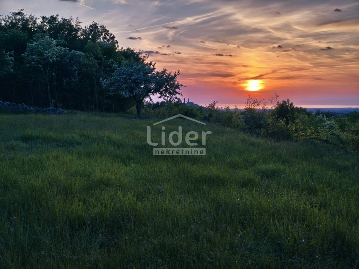 Terreno Buje, 1.765m2