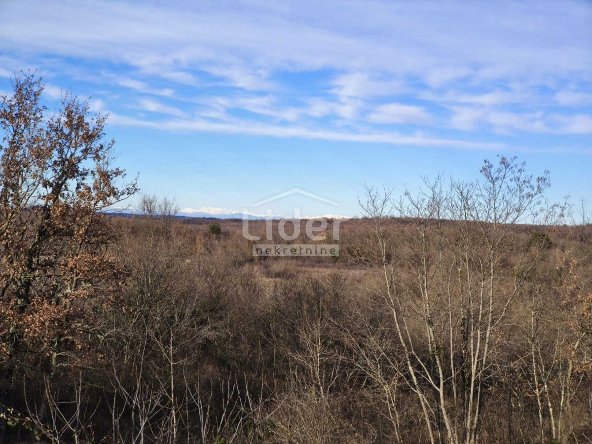 Terreno Buje, 1.765m2