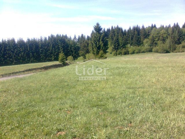 Terreno Ravna Gora, 4.193m2