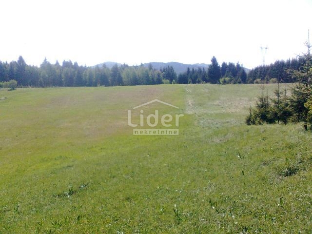 Terreno Ravna Gora, 4.193m2