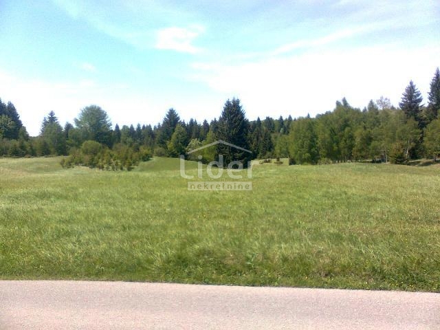 Terreno Ravna Gora, 4.193m2