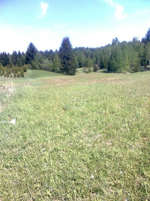 Terreno Ravna Gora, 4.193m2