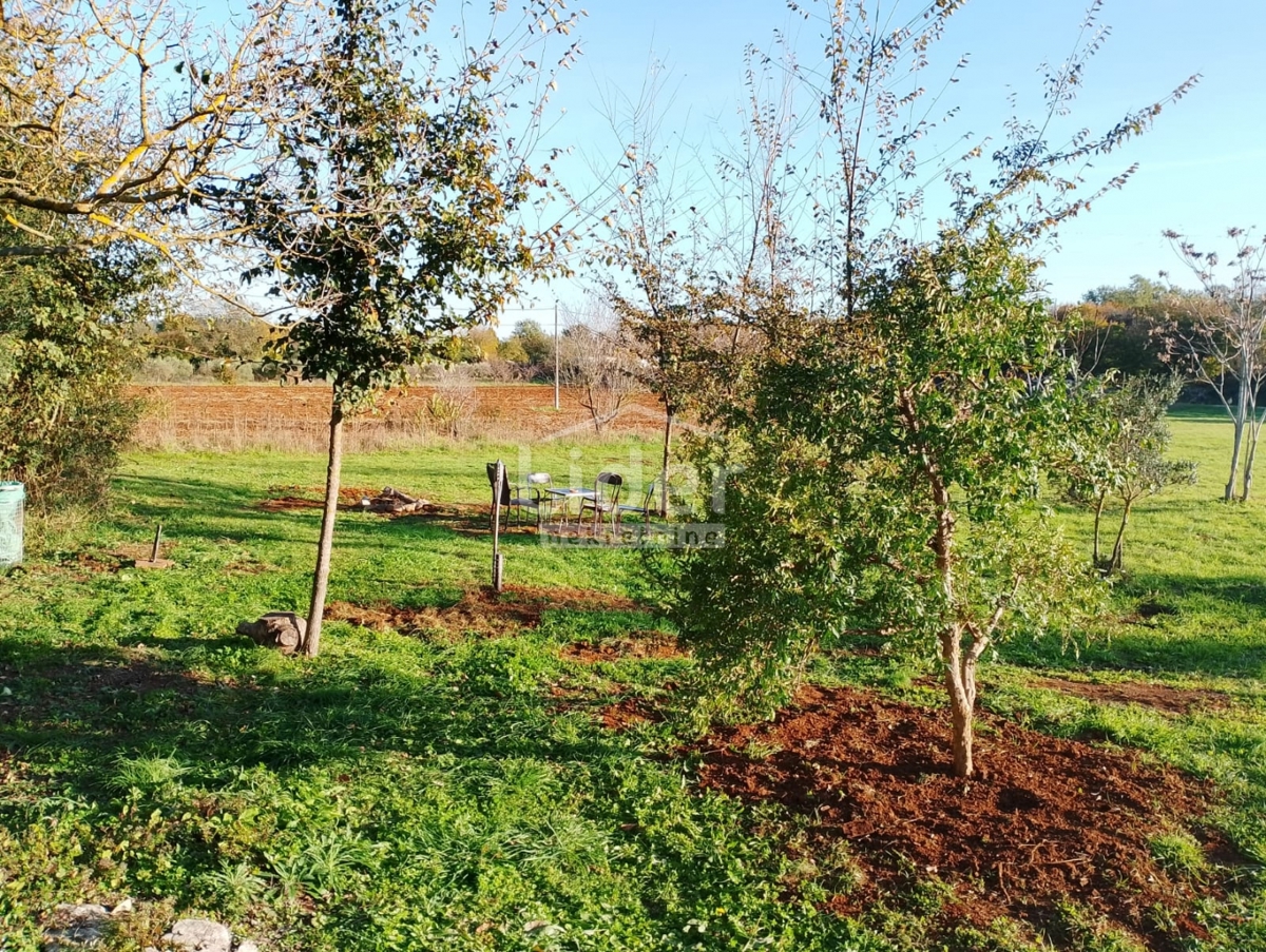 Terreno Rovinj, 3.437m2