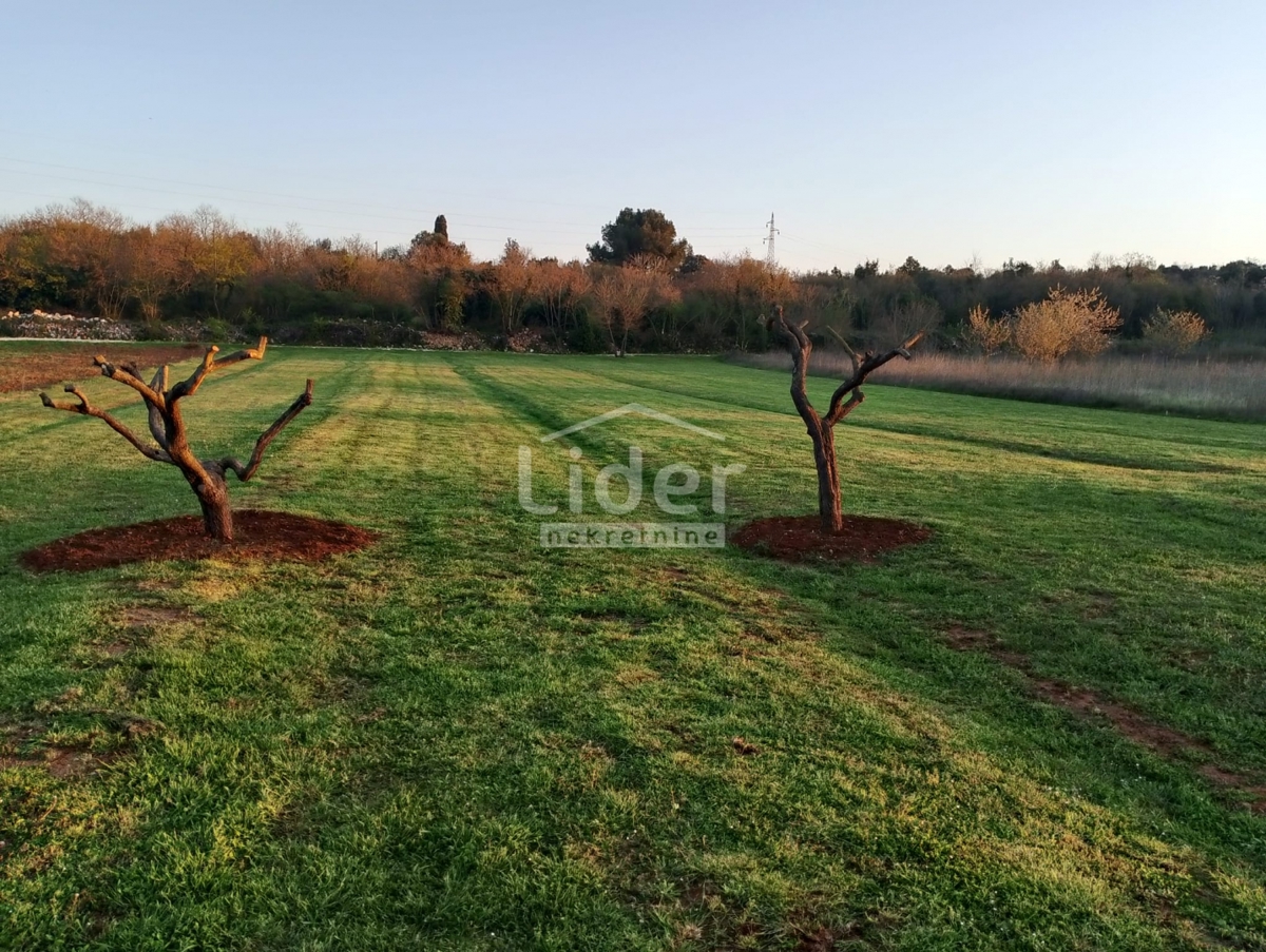 Terreno Rovinj, 3.437m2