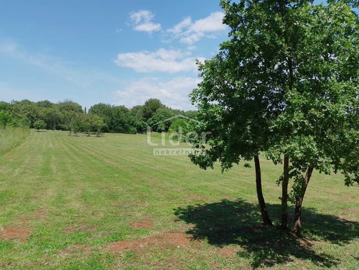 Terreno Rovinj, 3.437m2