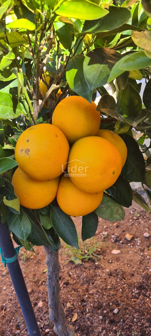 Casa Kruševo, Obrovac, 220m2