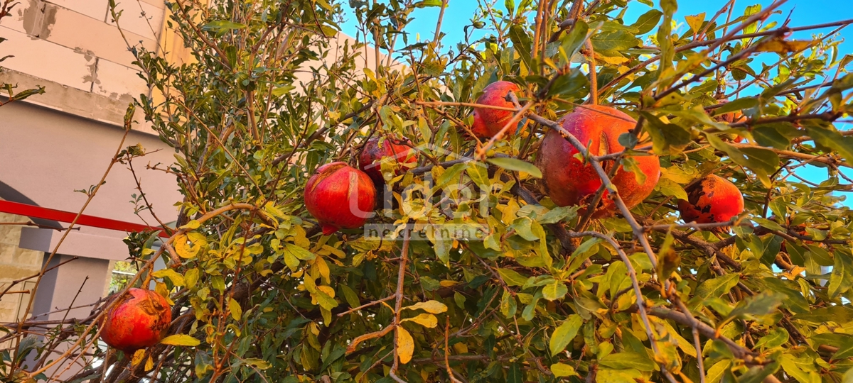 Casa Kruševo, Obrovac, 220m2