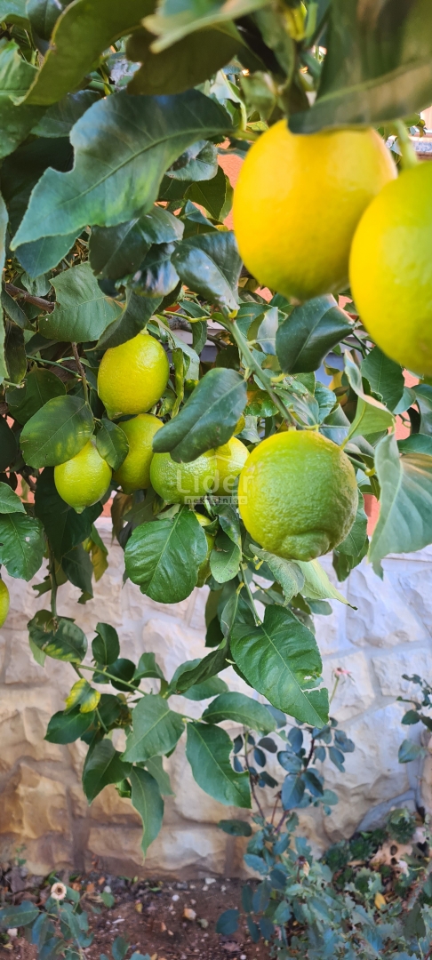 Casa Kruševo, Obrovac, 220m2