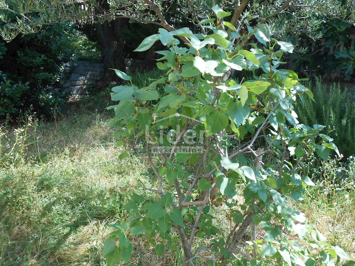 BUNICA Casa con giardino e vista mare