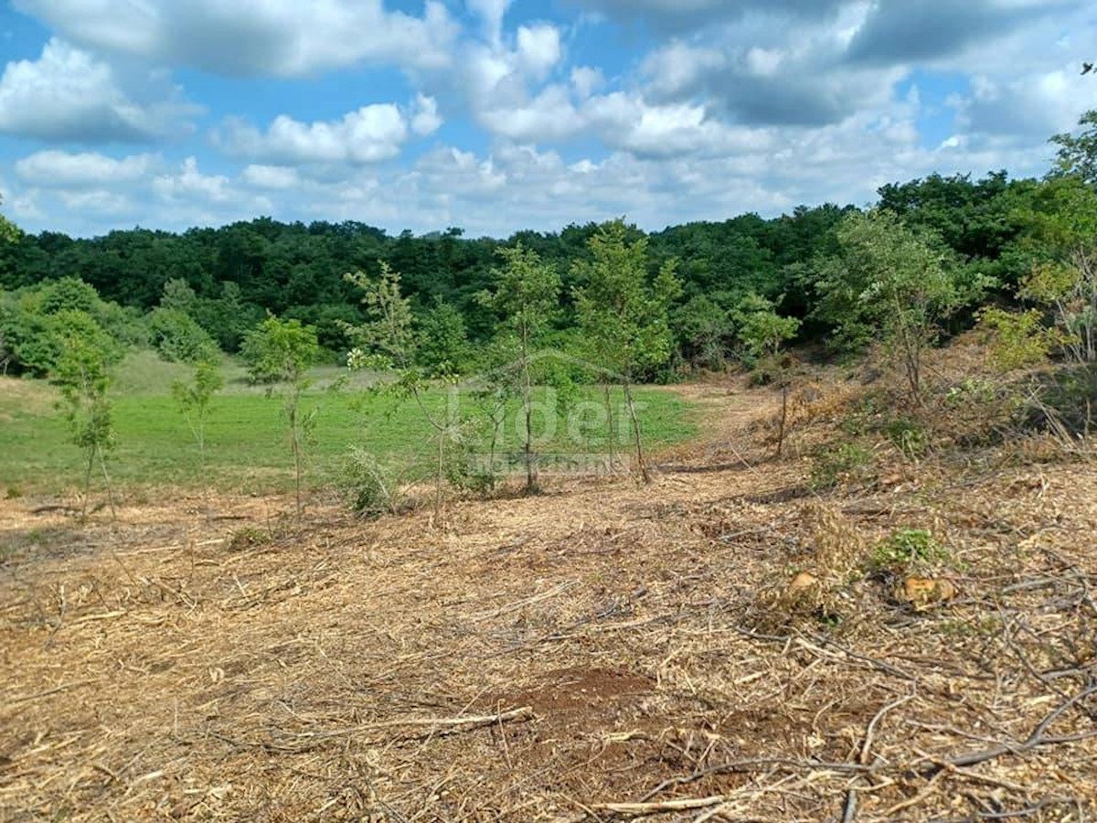 Terreno Režanci, Svetvinčenat, 1.000m2