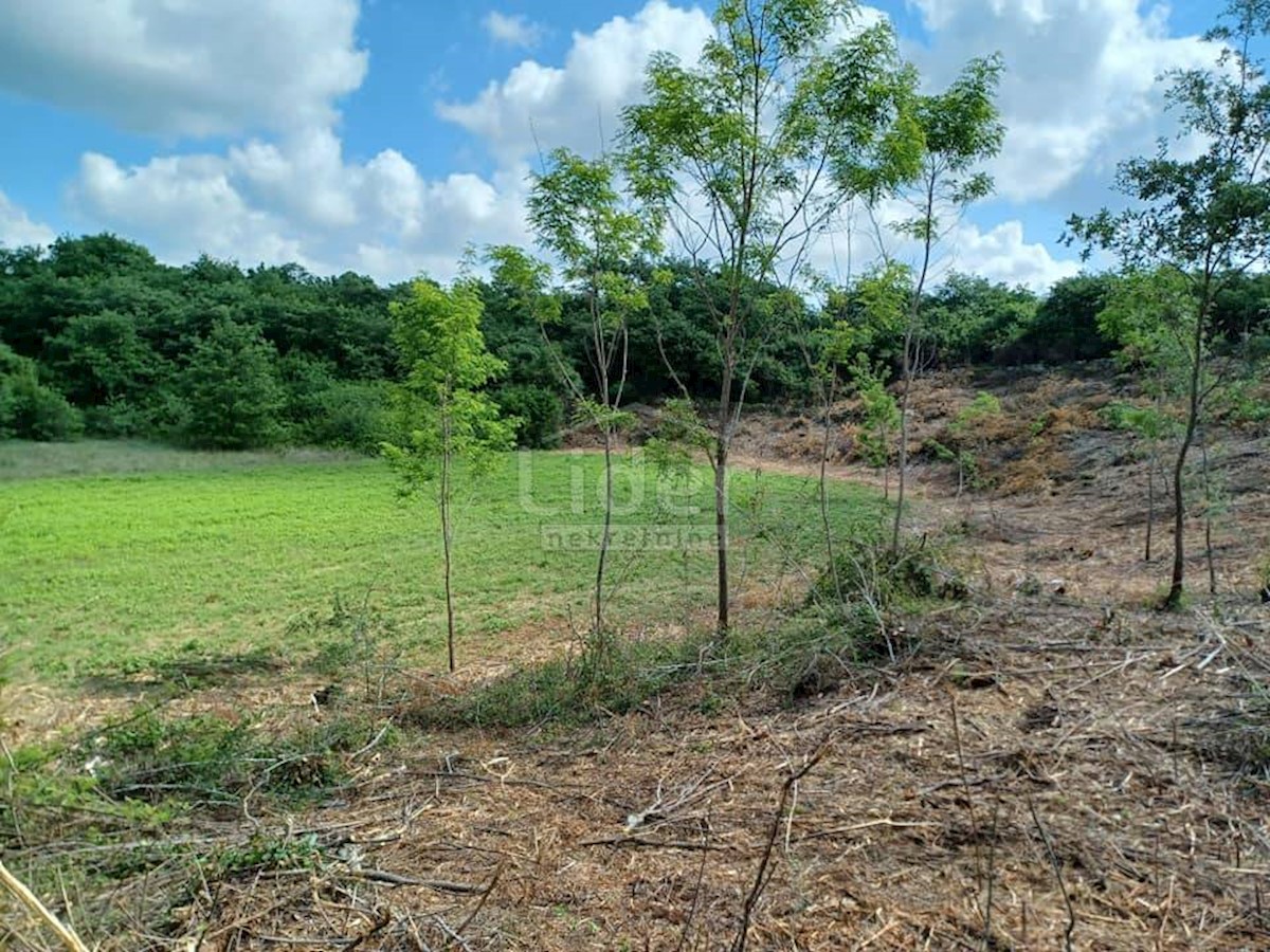 Terreno Režanci, Svetvinčenat, 1.000m2