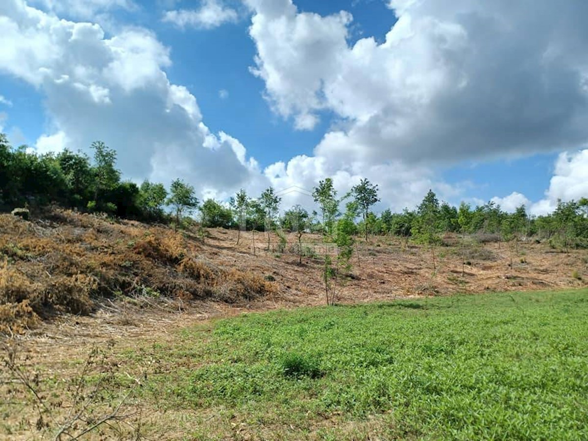 Terreno Režanci, Svetvinčenat, 1.000m2