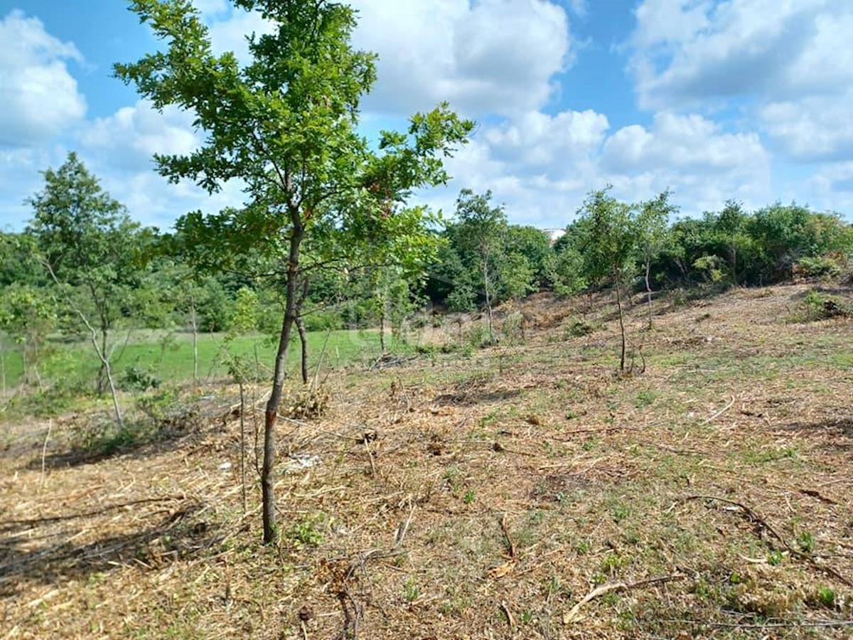 Terreno Režanci, Svetvinčenat, 1.000m2