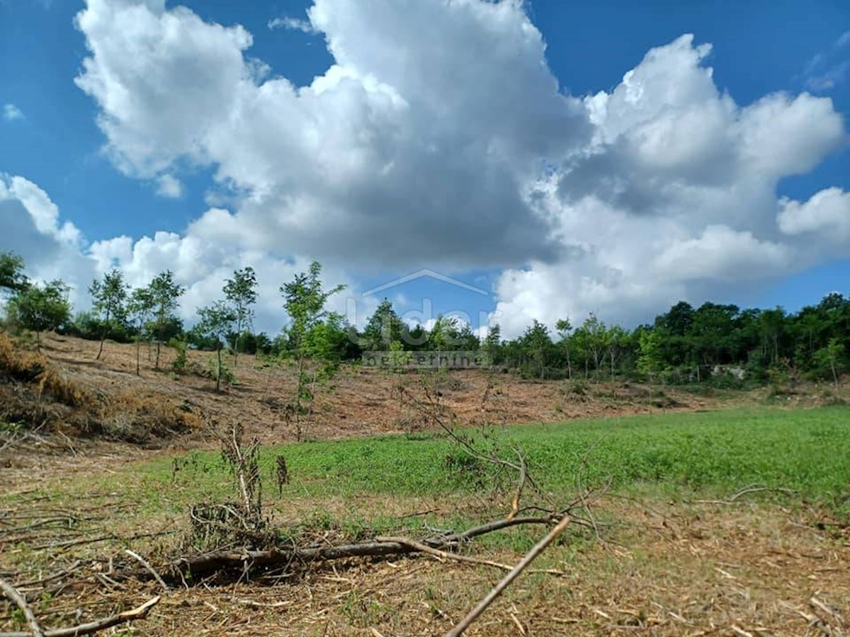 Terreno Režanci, Svetvinčenat, 1.000m2