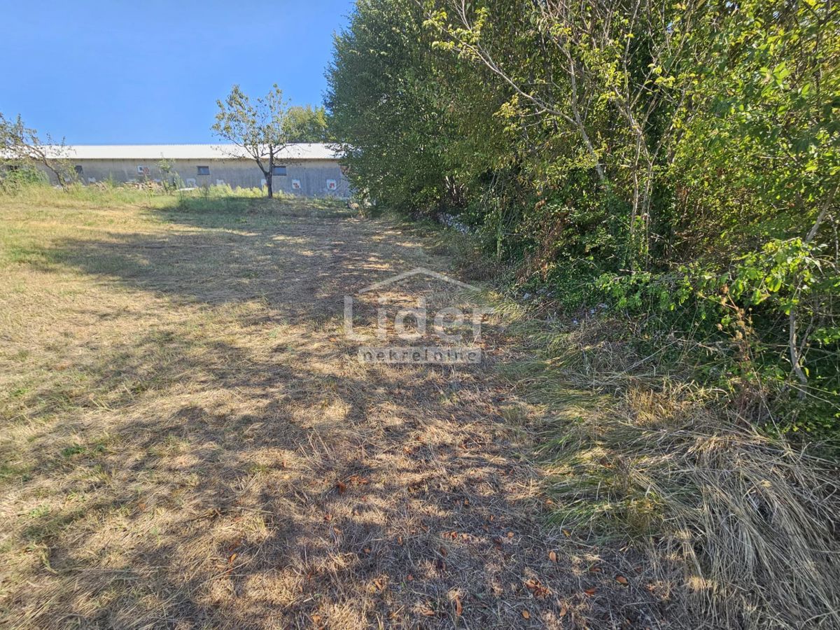 Terreno Žminj, 1.246m2