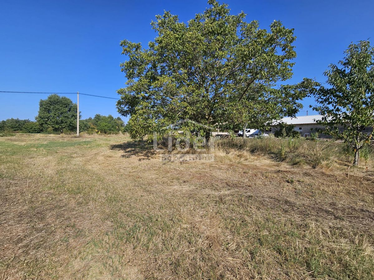 Terreno Žminj, 1.246m2