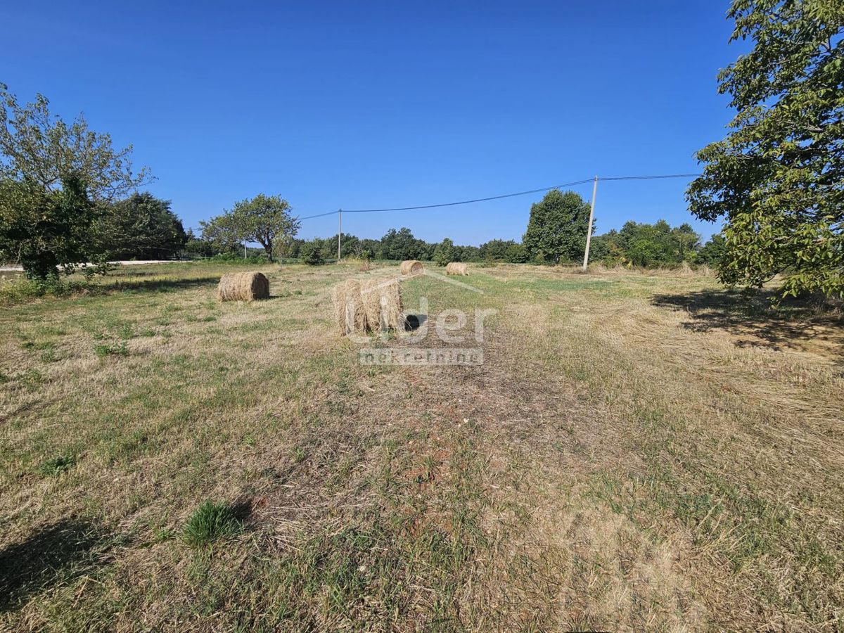 Terreno Žminj, 1.246m2