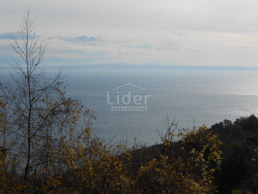 Casa Veprinac, Opatija - Okolica, 250m2
