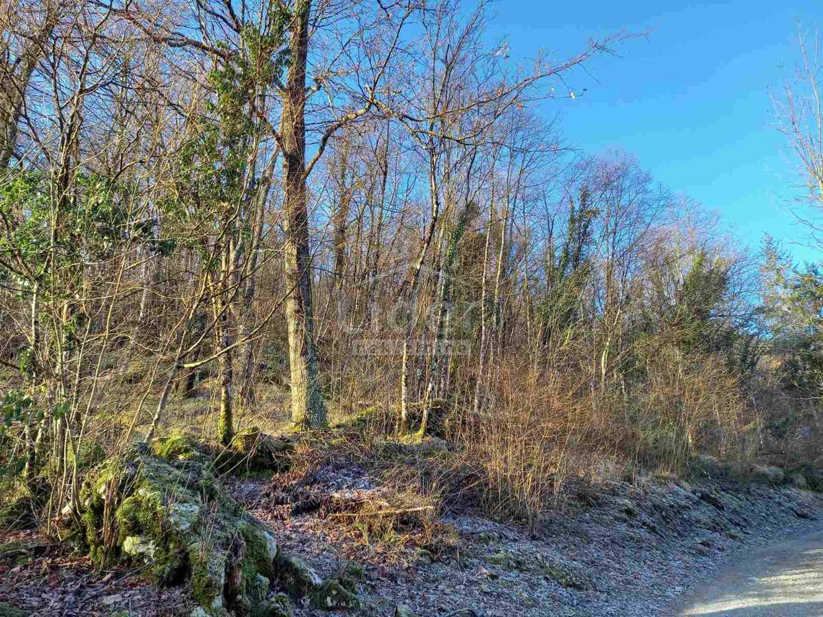 Terreno Zvoneća, Matulji, 5.701m2
