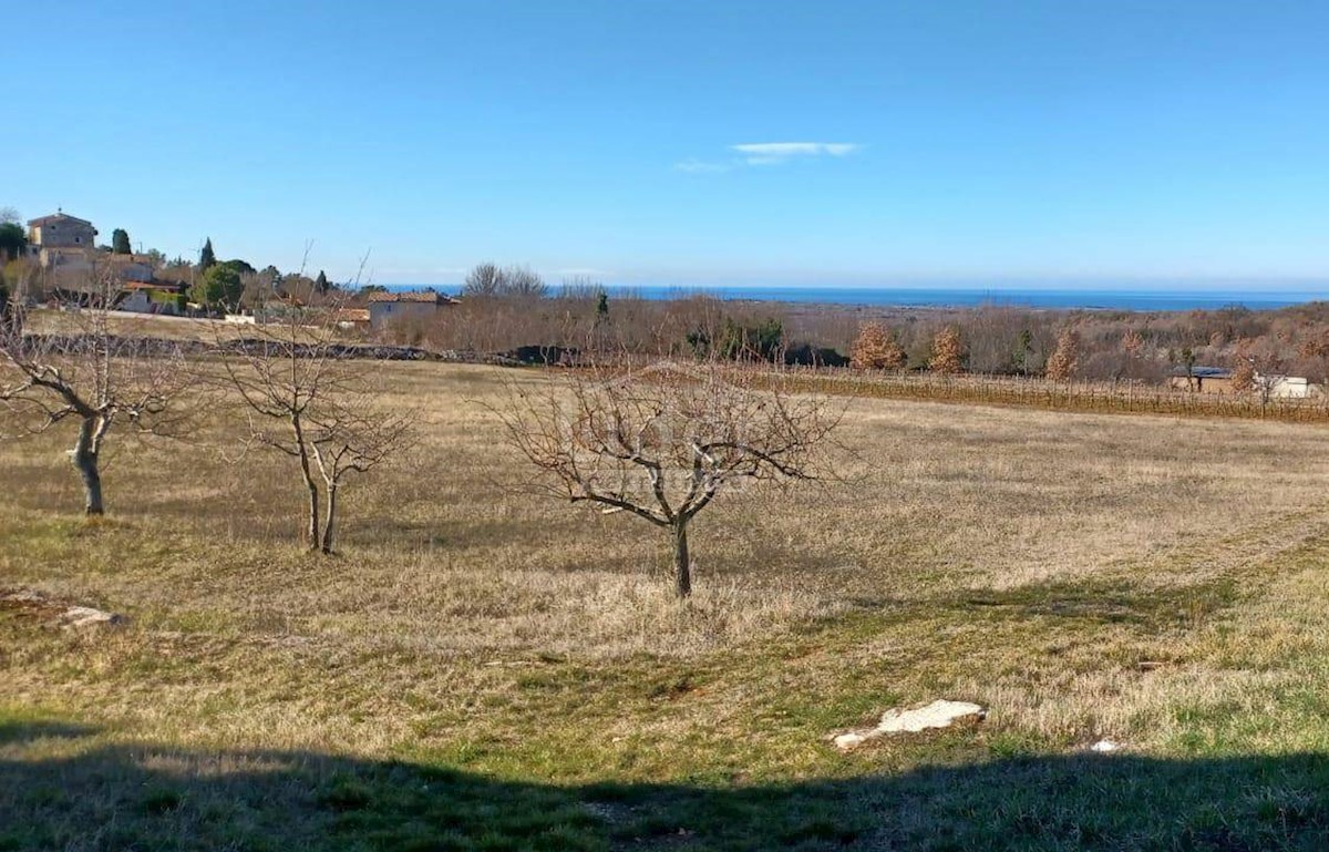 Terreno Višnjan, 856m2