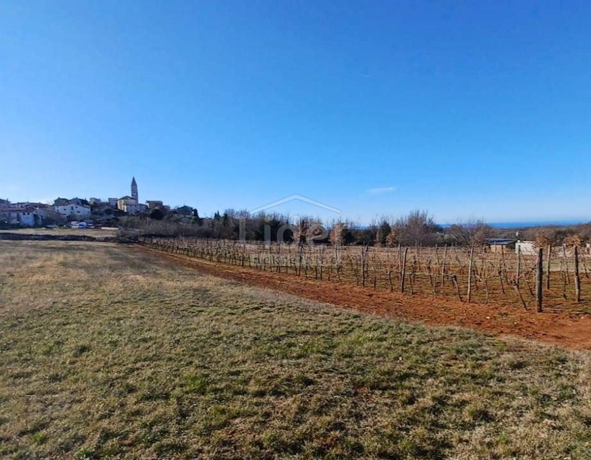 Terreno Višnjan, 856m2