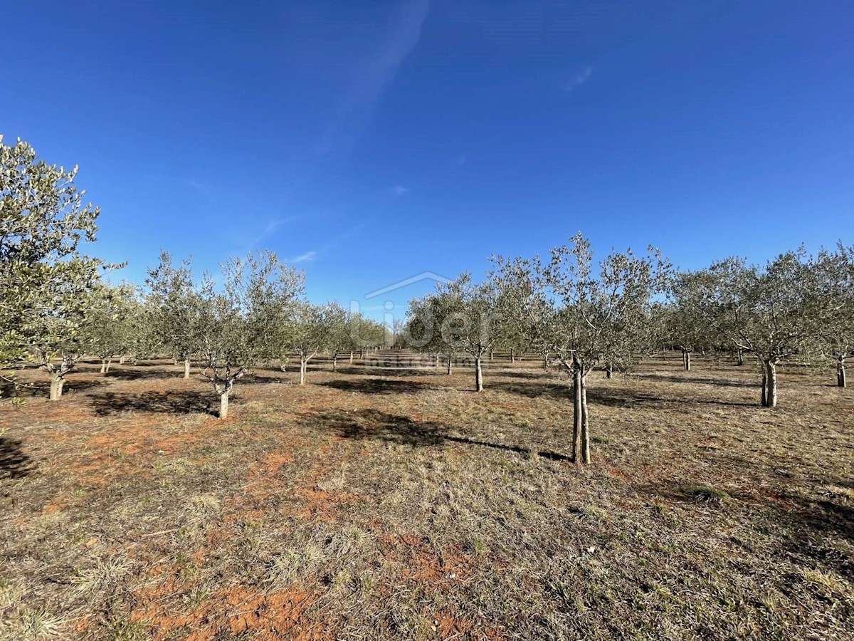 Terreno Labinci, Kaštelir-Labinci, 8,84m2