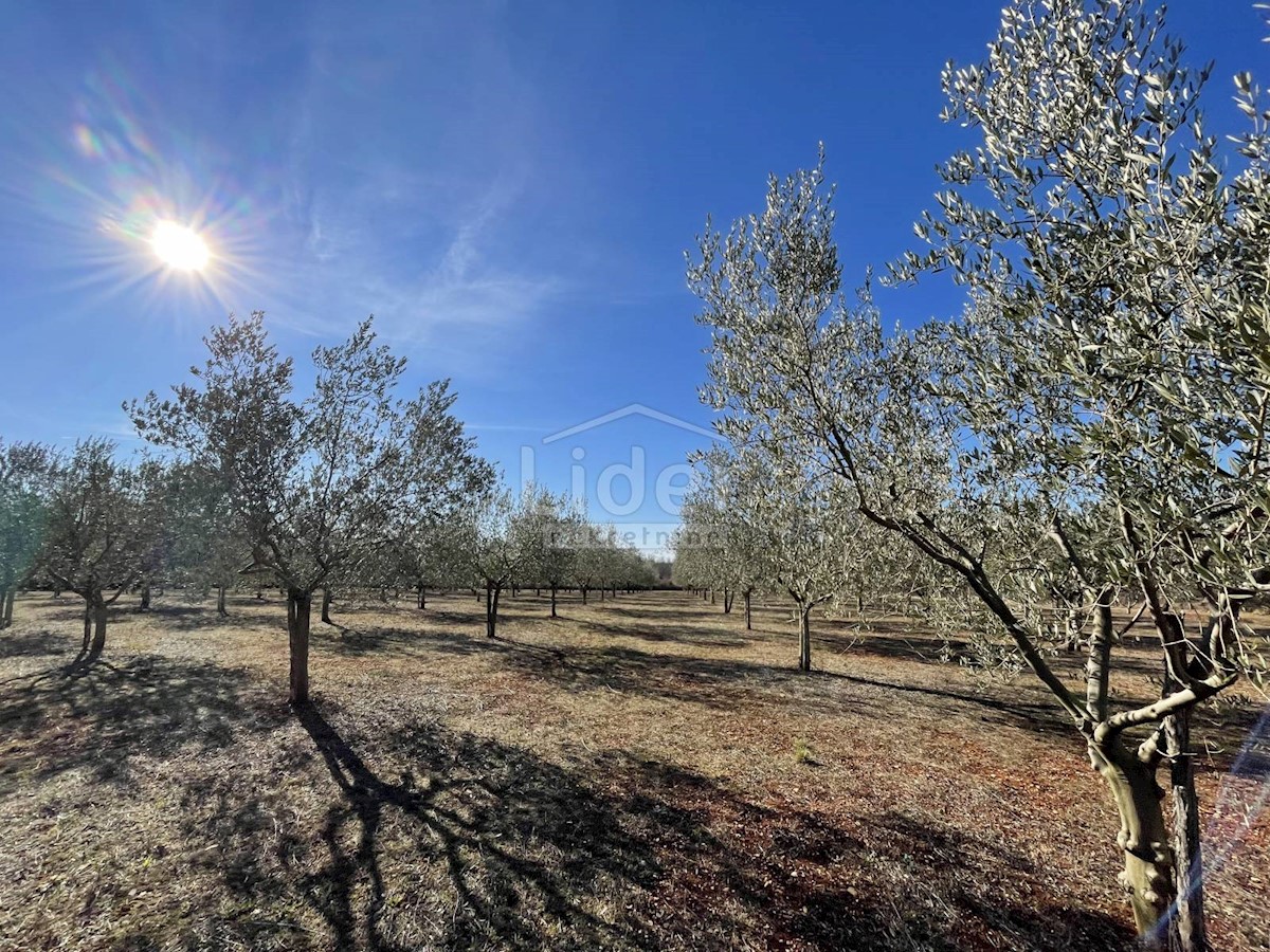 Terreno Labinci, Kaštelir-Labinci, 8,84m2