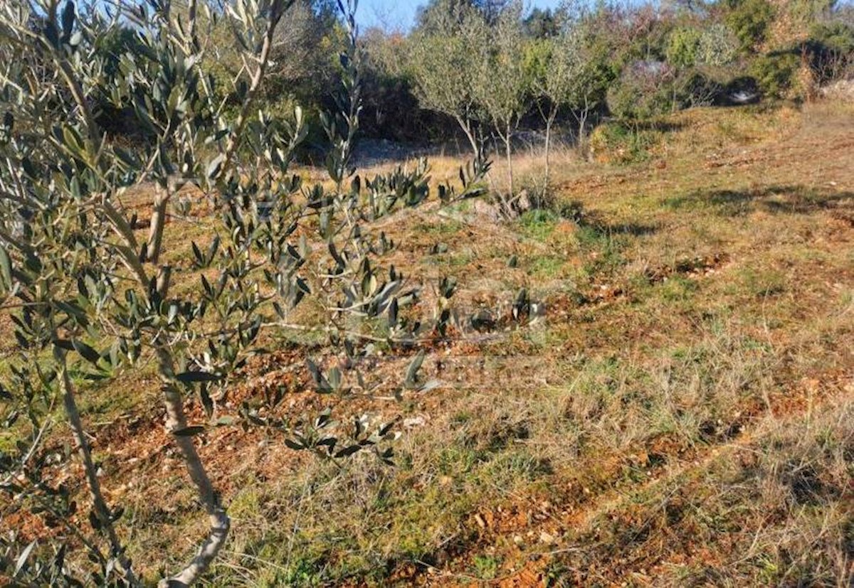 Terreno agricolo vicino a Fažana di 2400 m2